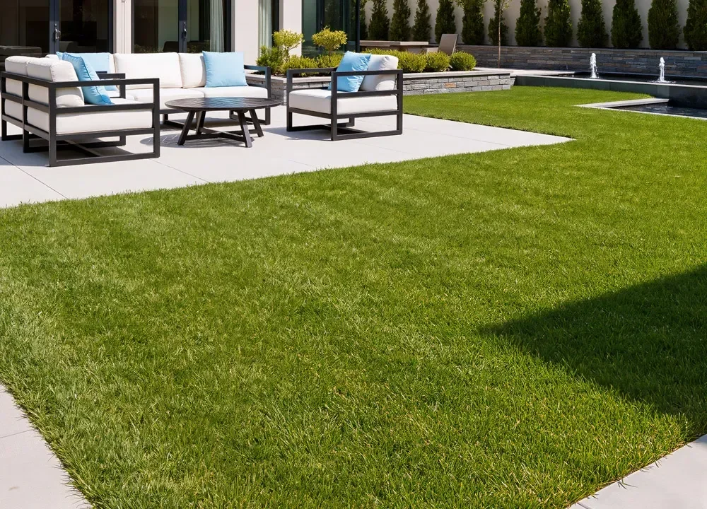 A Yard That Stays Green Without the Work