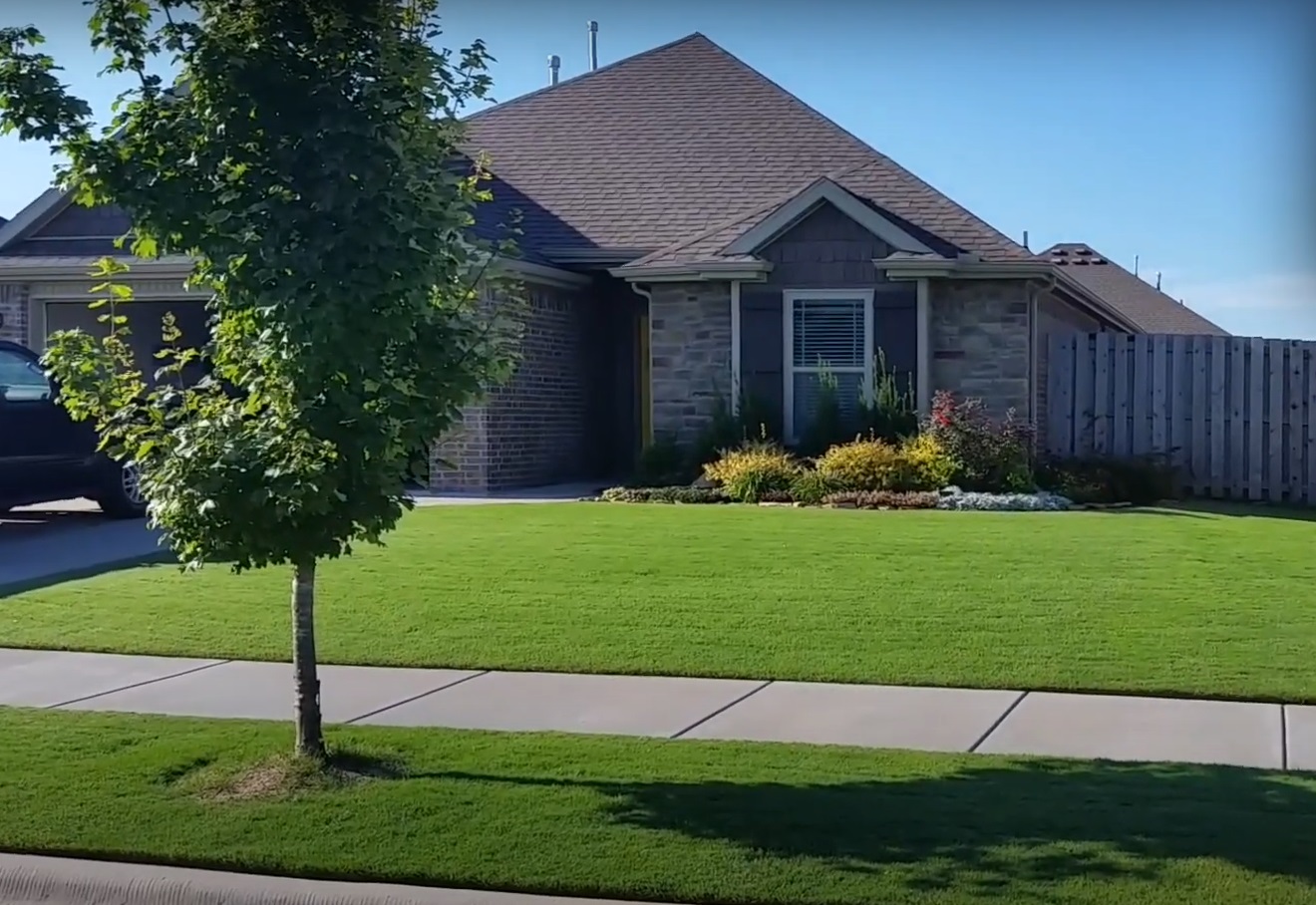 Basic lawn care and maintenance tips