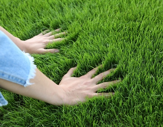 How to install artificial grass